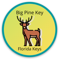 Big Pine Key Sticker with a Key deer